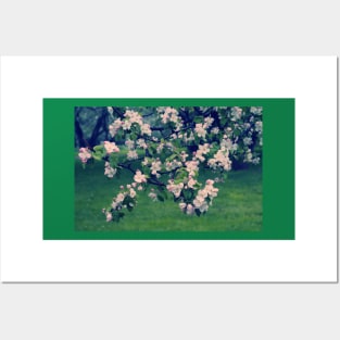 Blossoming Spring Garden Posters and Art